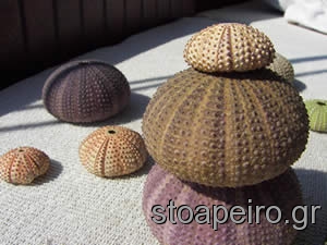 100_2204.jpg